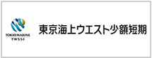 東京海上ウエスト少額短期